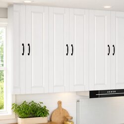 Your New Favorite Wall Cabinet for Kitchen Use