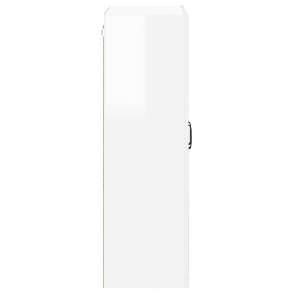 Wall Glass Cabinet High Gloss White Wall-Mounted Kitchen Storage Compartment 60 x 31 x 100 cm