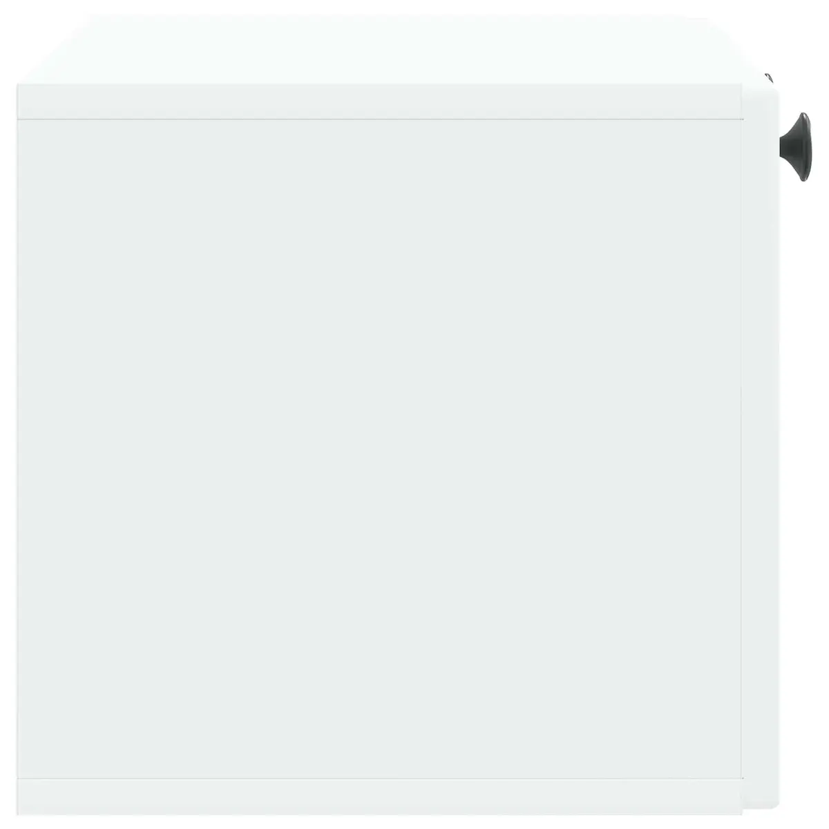 Wall-Mounted TV Cabinet White Modern Storage Unit 59.5 x 31 x 30 cm