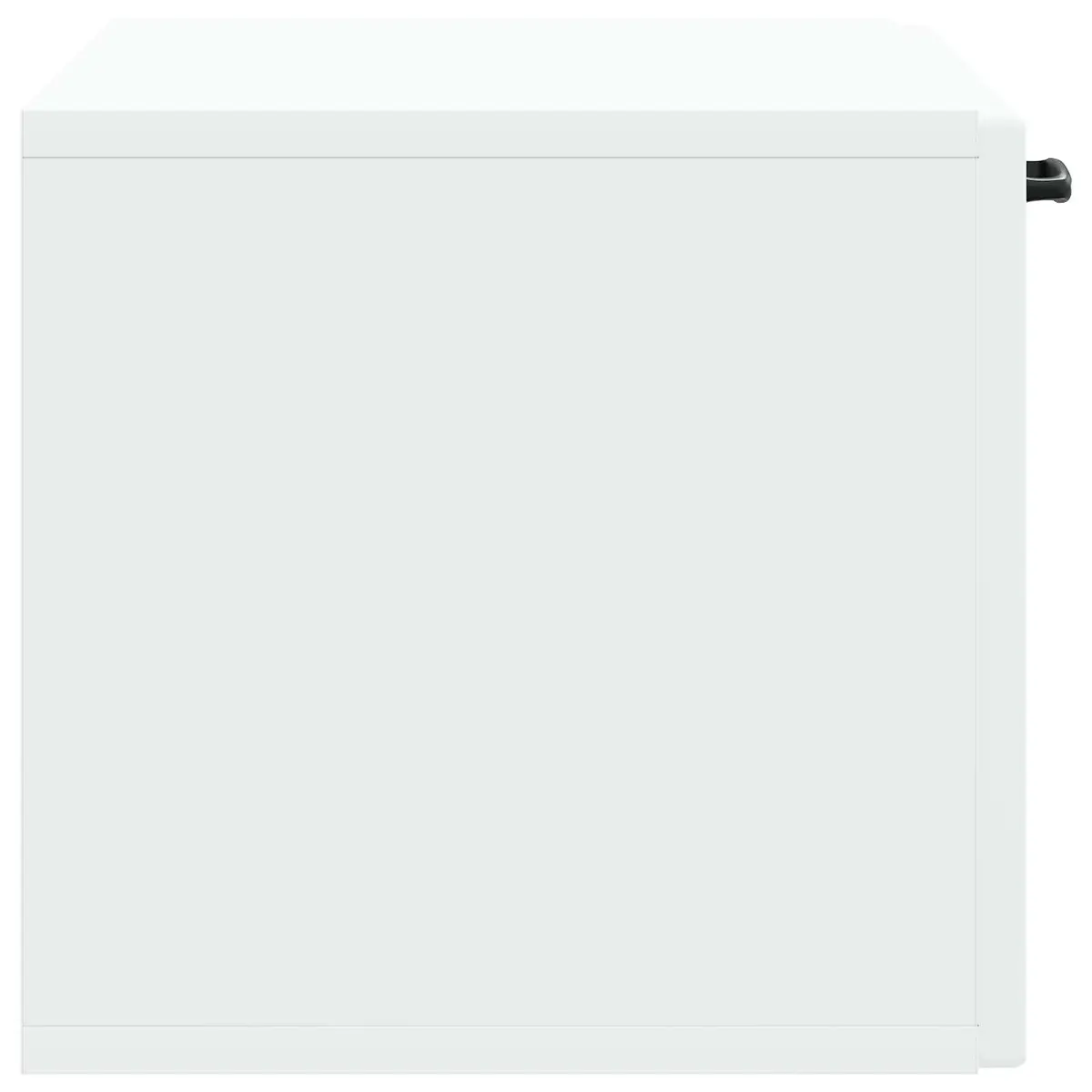 Wall-Mounted TV Cabinet White 59.5 x 31 x 30 cm Storage Unit