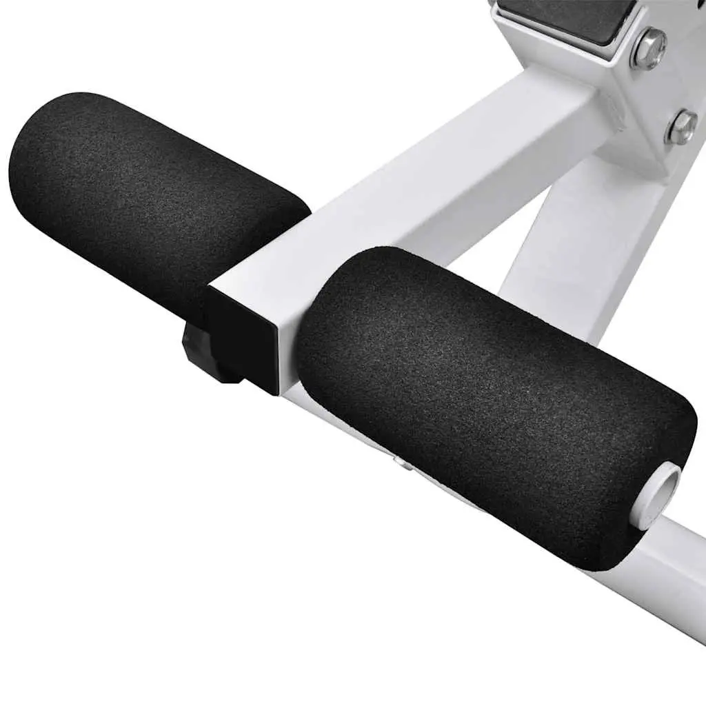 Workout Bench with Adjustable Backrest
