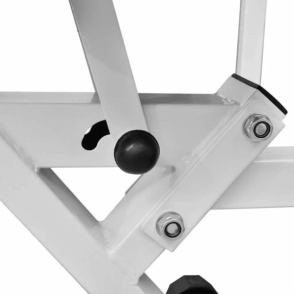 Workout Bench with Adjustable Backrest