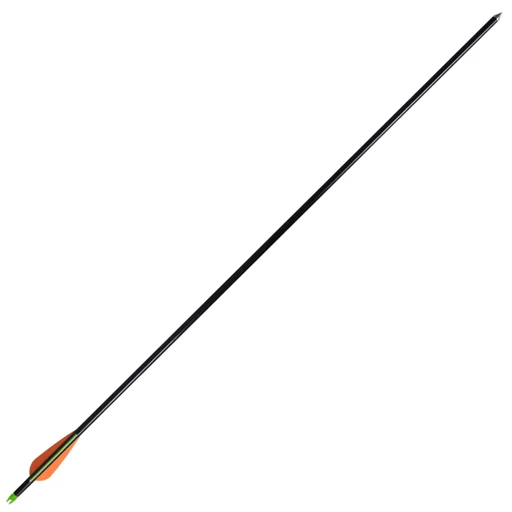 Adult Compound Bow for Archery Adventures