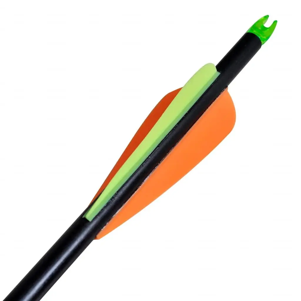 Adult Compound Bow for Archery Adventures