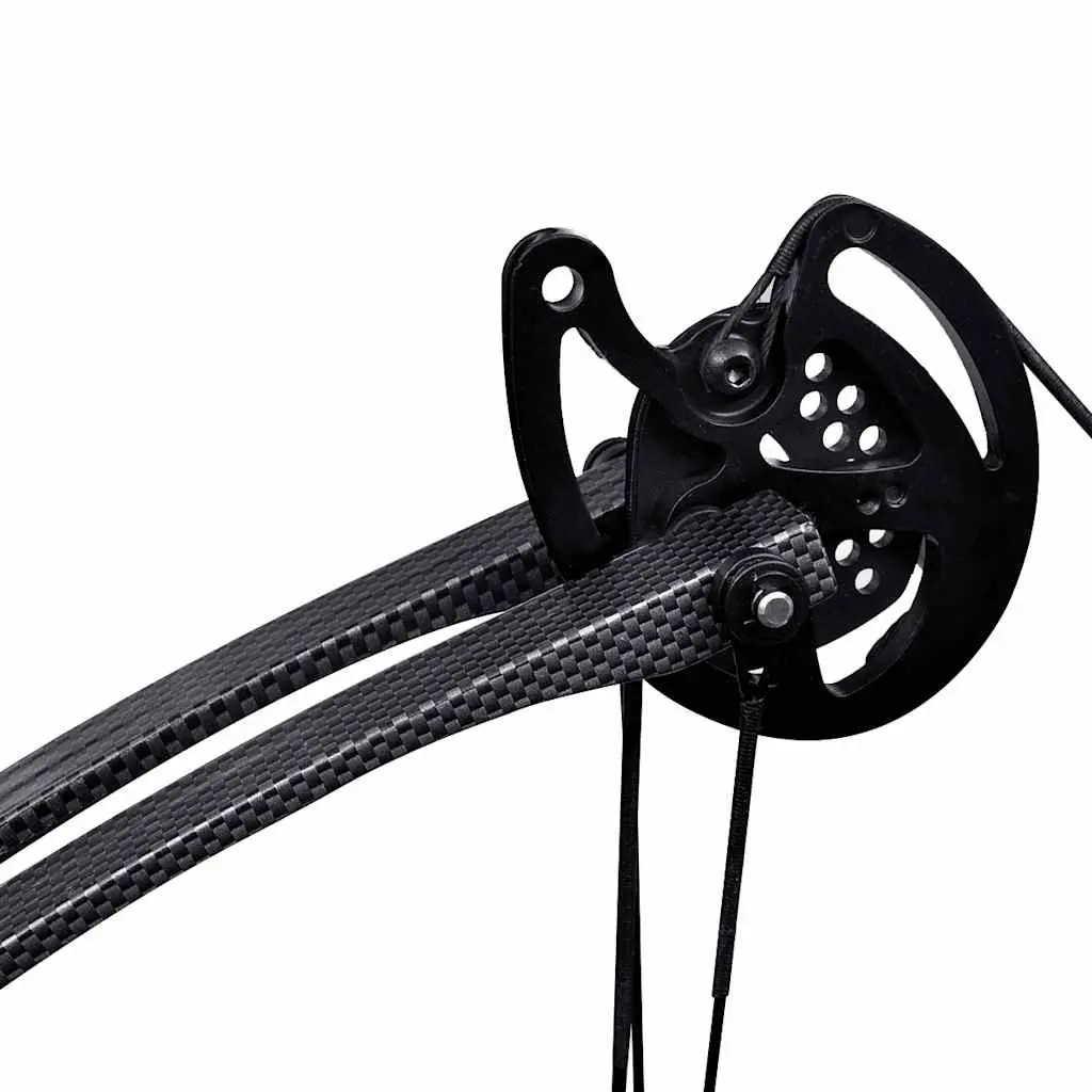 Adult Compound Bow for Archery Adventures