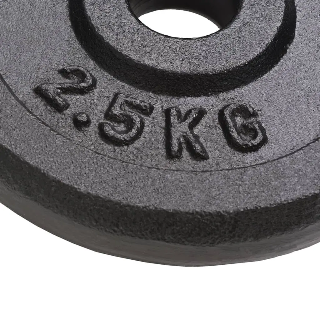 Cast Iron Weight Plates 8 Pieces 2.5 kg Each Home Gym Training