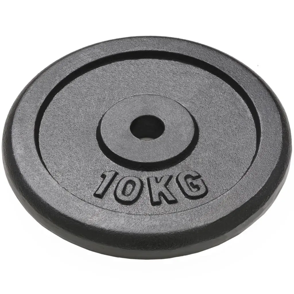 Weight Plates Set 4 Pieces Cast Iron 10kg 5kg for Barbell Dumbbell Home Gym