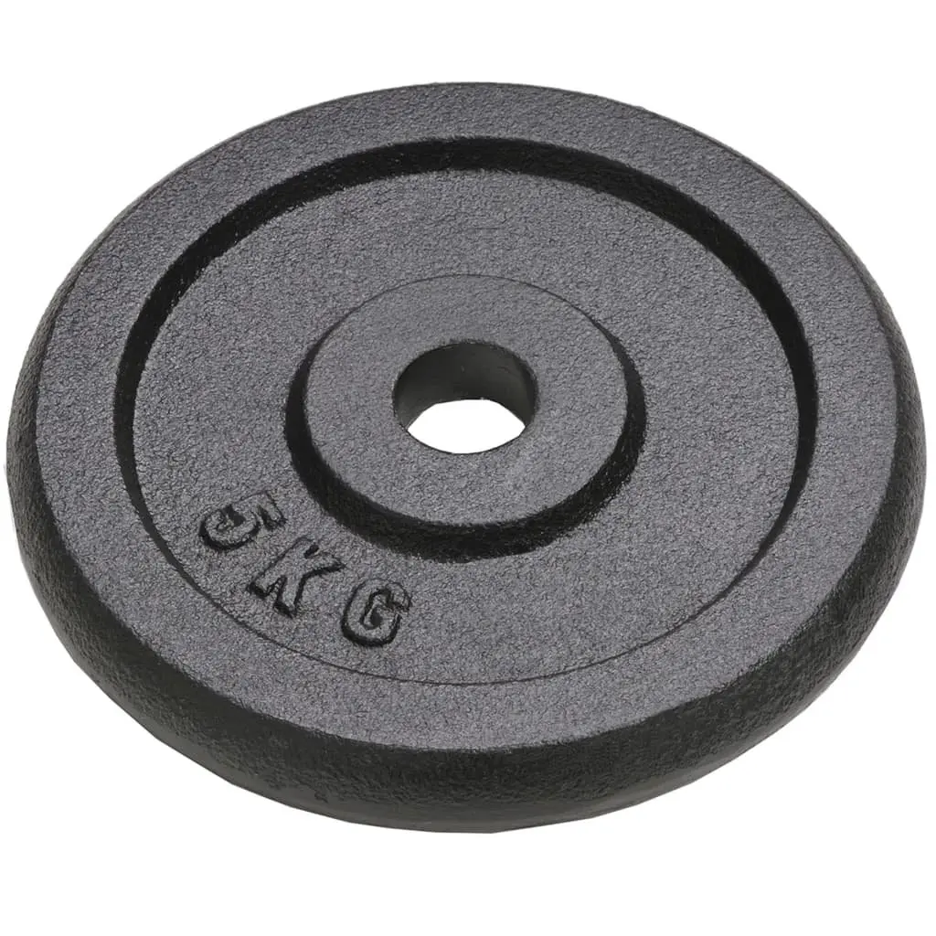Weight Plates Set 4 Pieces Cast Iron 10kg 5kg for Barbell Dumbbell Home Gym