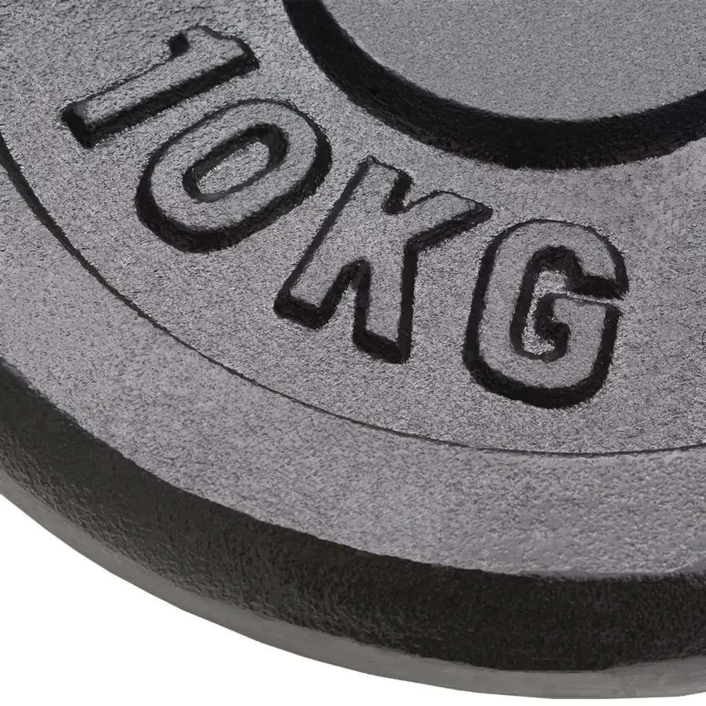 Weight Plates Set 4 Pieces Cast Iron 10kg 5kg for Barbell Dumbbell Home Gym