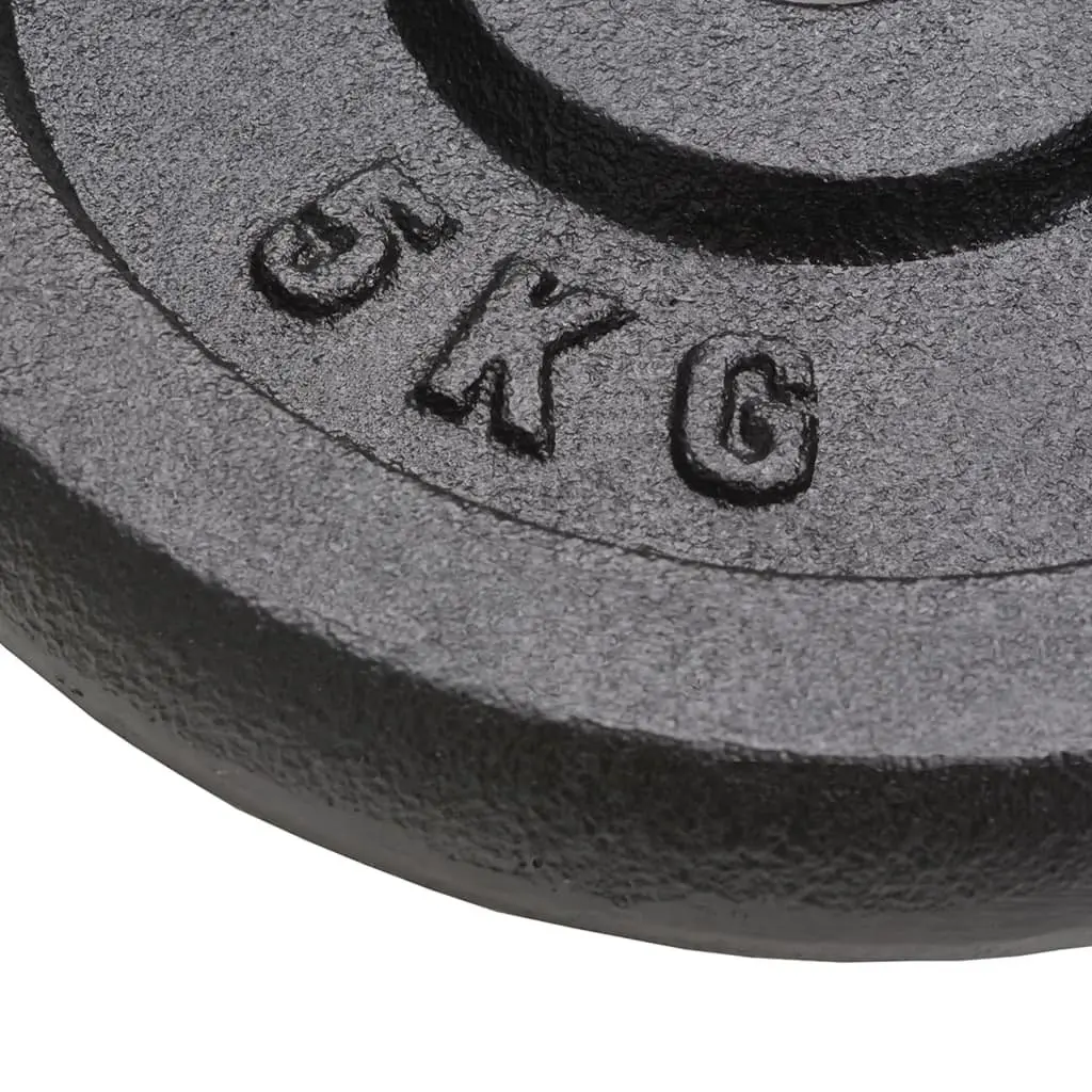 Weight Plates Set 4 Pieces Cast Iron 10kg 5kg for Barbell Dumbbell Home Gym