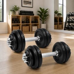 Dumbbell Set 30kg Cast Iron Weight Plates Spinlock Collars Home Gym Training