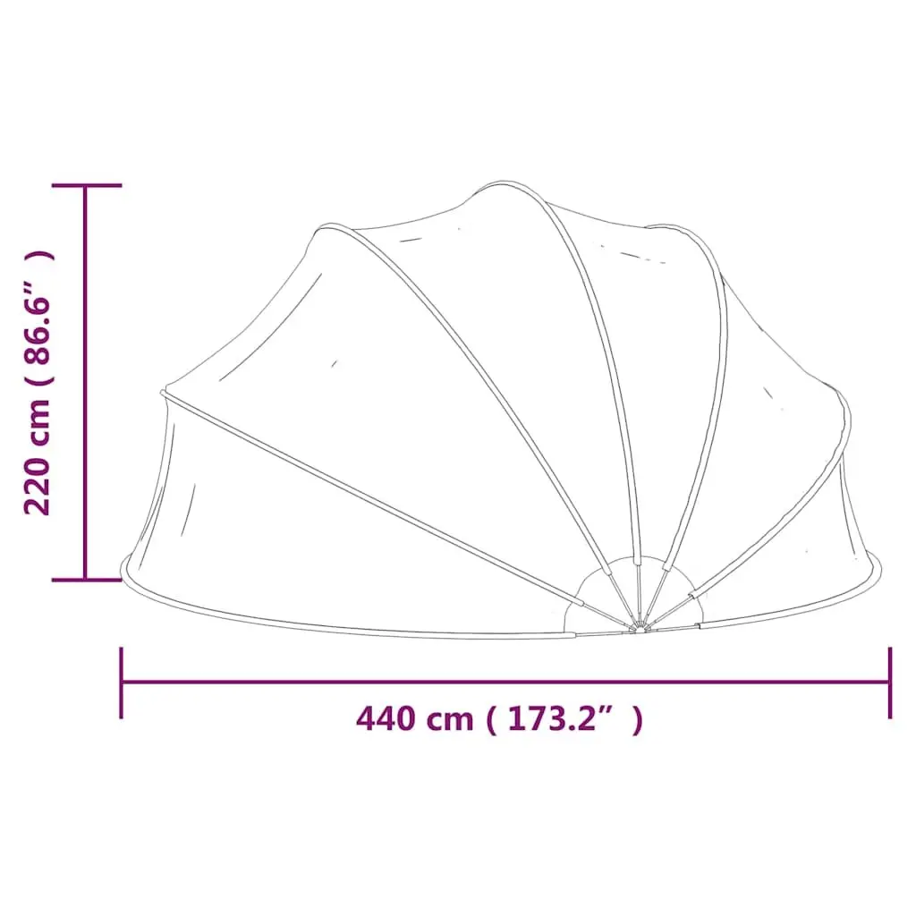 Pool Dome 440x220 cm Transparent Cover Shelter Above Ground Built-in Swimming