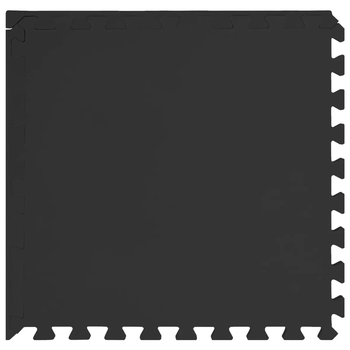 Fitness Equipment EVA Foam Interlocking Exercise Mats Black 24 Piece