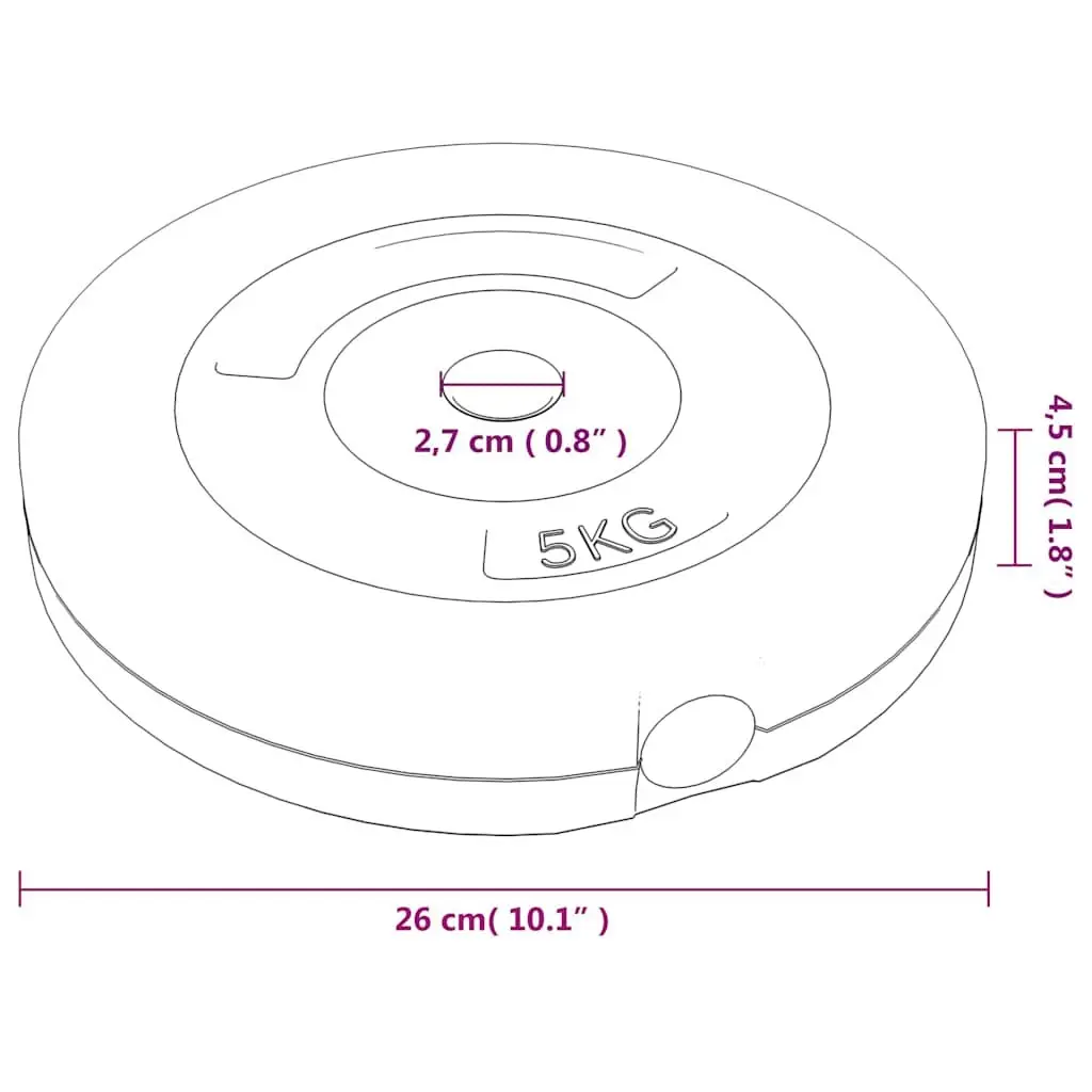 Weight Plates Set 6 pcs 30 kg Home Gym Dumbbell Barbell Training Cement Discs