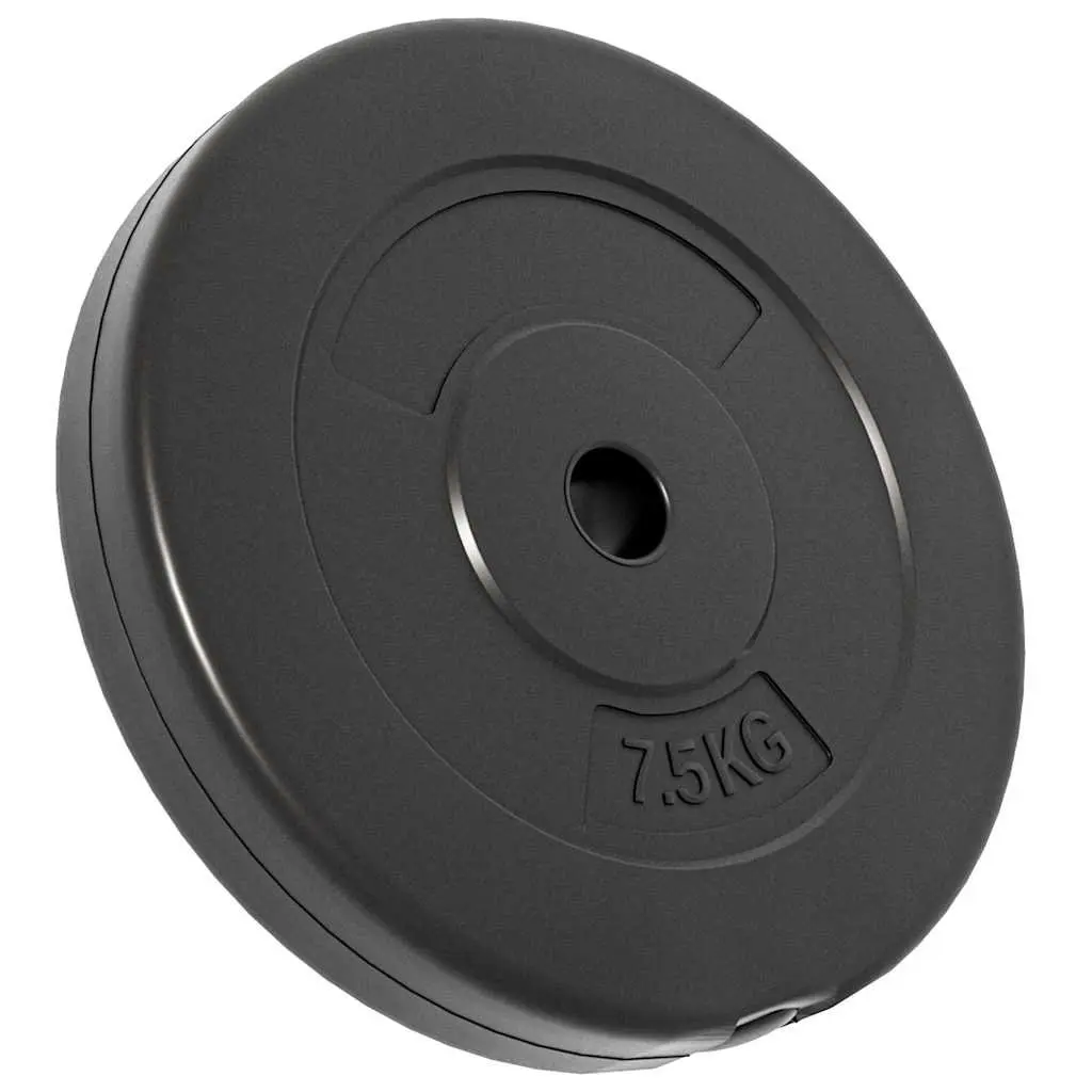 Weight Plates Set 6 pcs 30 kg Home Gym Dumbbell Barbell Training Cement Discs