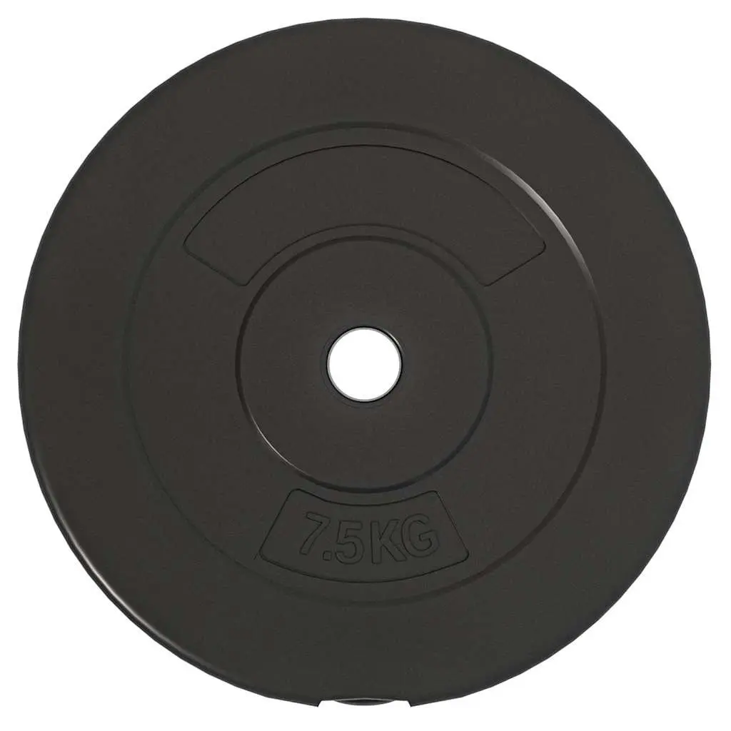 Weight Plates Set 6 pcs 30 kg Home Gym Dumbbell Barbell Training Cement Discs