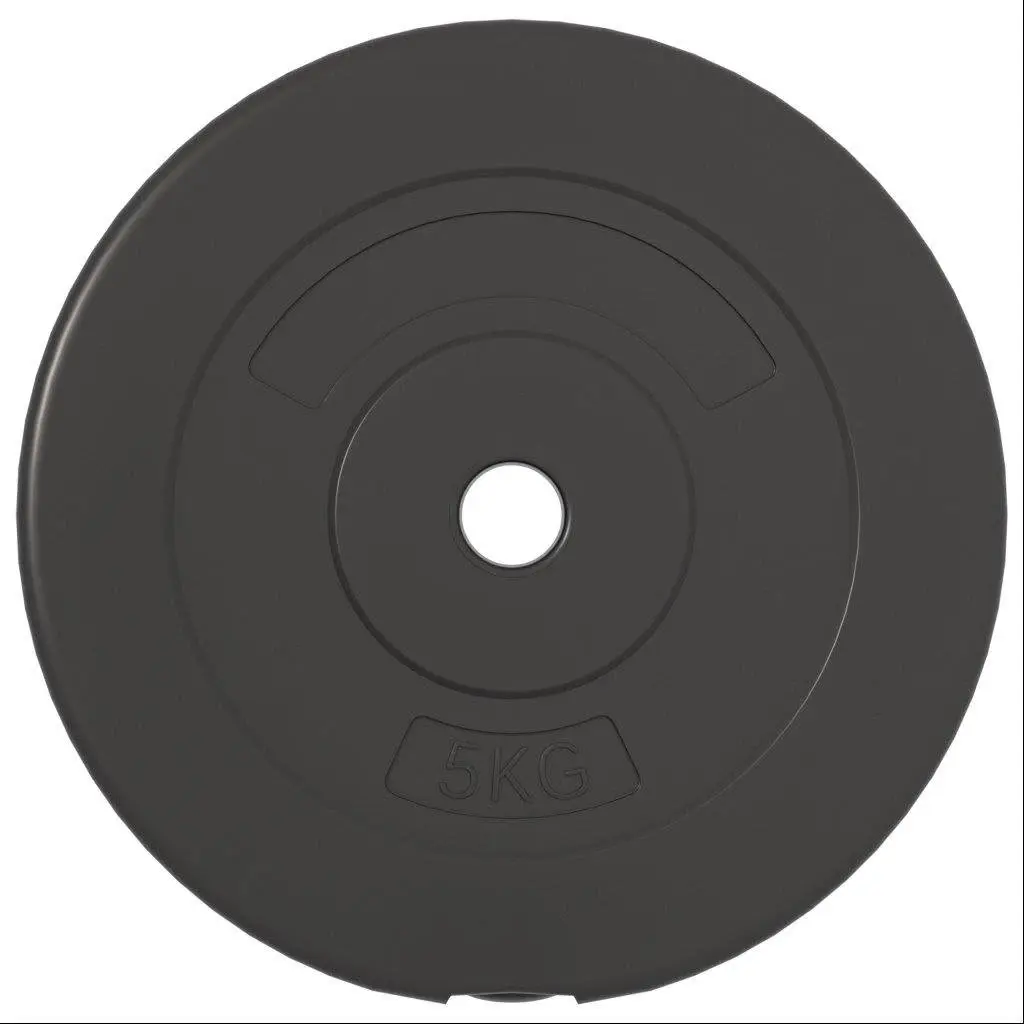 Weight Plates Set 6 pcs 30 kg Home Gym Dumbbell Barbell Training Cement Discs