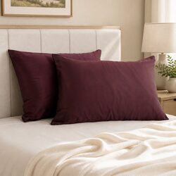 Enjoy Comfort with Mulberry Silk Pillowcases – Twin Pack