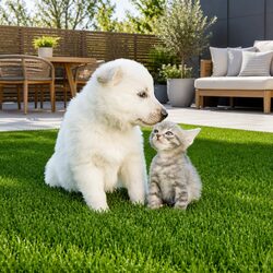 Create Your Ideal Space with 2M x 5M Olive Green Synthetic Turf