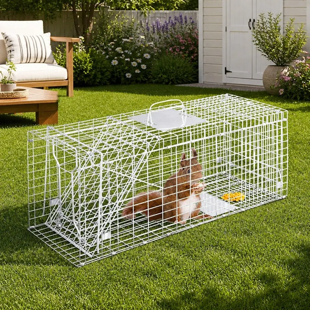 Humane Animal Trap Cage Collapsible 79x28cm Spring Door