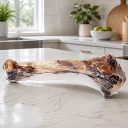 Say Hello to Your Dog’s New Favorite Lamb Bone Chew