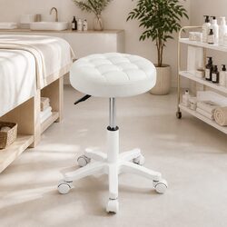 Rolling Bar Stool with Gas Lift 360 Rotation Casters Office Salon Massage Chair