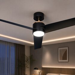 52 Inch Ceiling Fan DC Motor LED Light Remote Control Black Indoor Outdoor