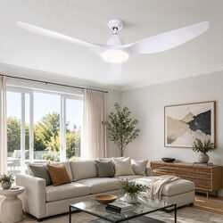 Ceiling Fan 64 Inch DC Motor LED Light Remote Control 5 Speed Indoor Outdoor