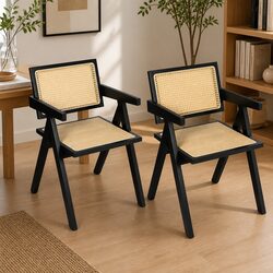 Inviting Wicker Armchair with Rattan Backrest for Your Home