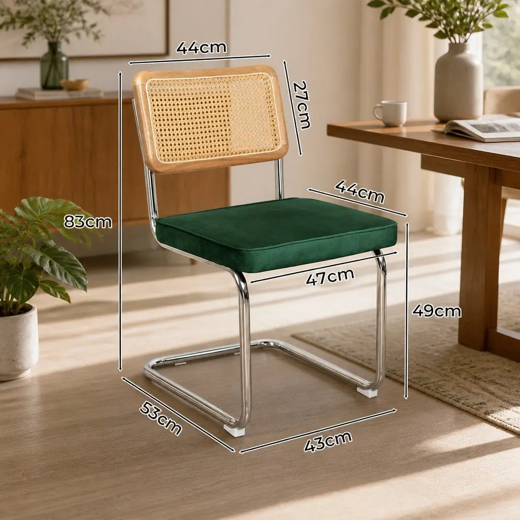 Dining Chairs Rattan Backrest Padded Seat Steel Frame Green Natural