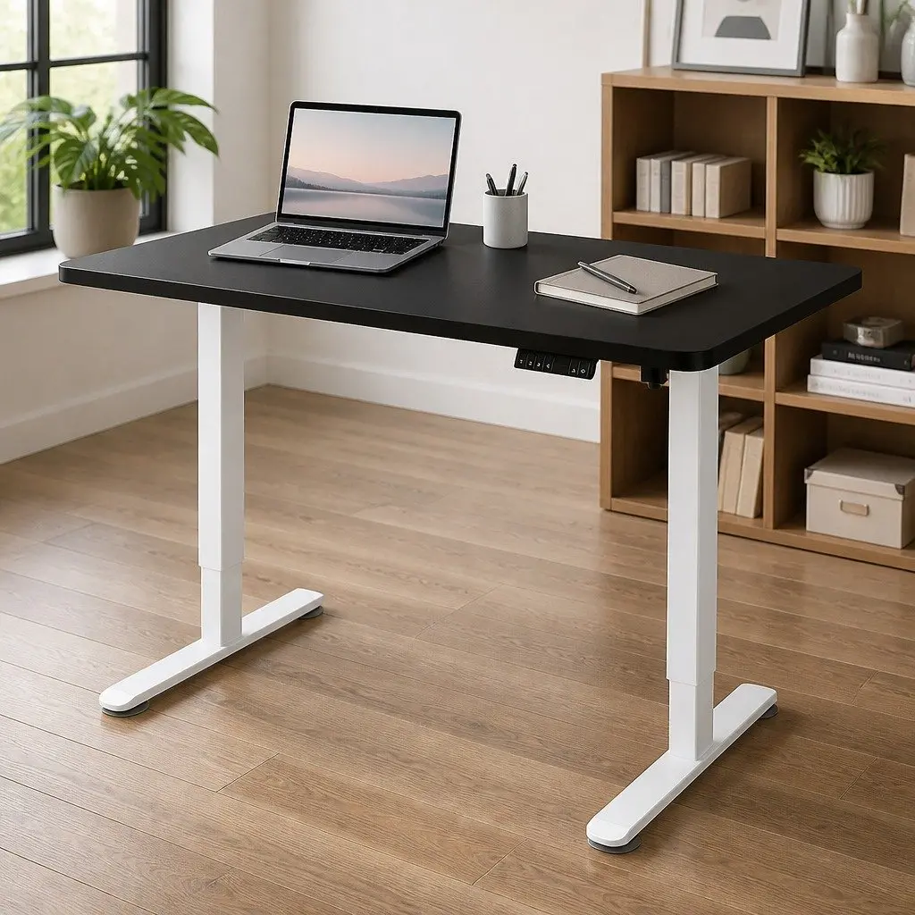 Motorised Standing Desk Setup