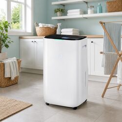 User-Friendly 20L/Day Dehumidifier for Large Areas