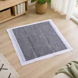 Pet Training Pads 400 Pcs 60x60cm Puppy Potty Pads Charcoal Absorbent Disposable