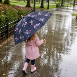 Enjoy a Colour Changing Umbrella for Your Kids' Rainy Days