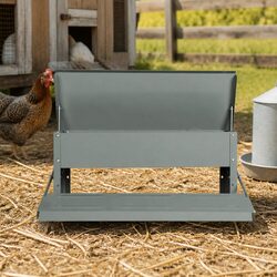 Automatic Chicken Feeder 5kg Large Capacity Timed Feed Dispenser Trespasser