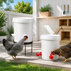 Automatic Poultry Feeder Waterer Set 20L Chicken Drinker Metal Stand Dispenser