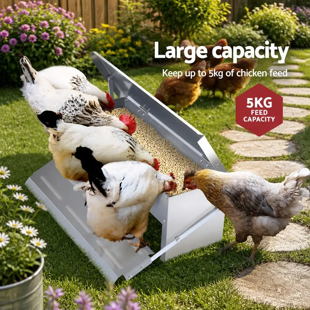 Automatic Chicken Feeder 5KG Galvanized Steel Weight-Operated Farm Poultry
