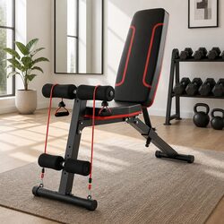 Your New Adjustable Weight Bench for a Stronger You