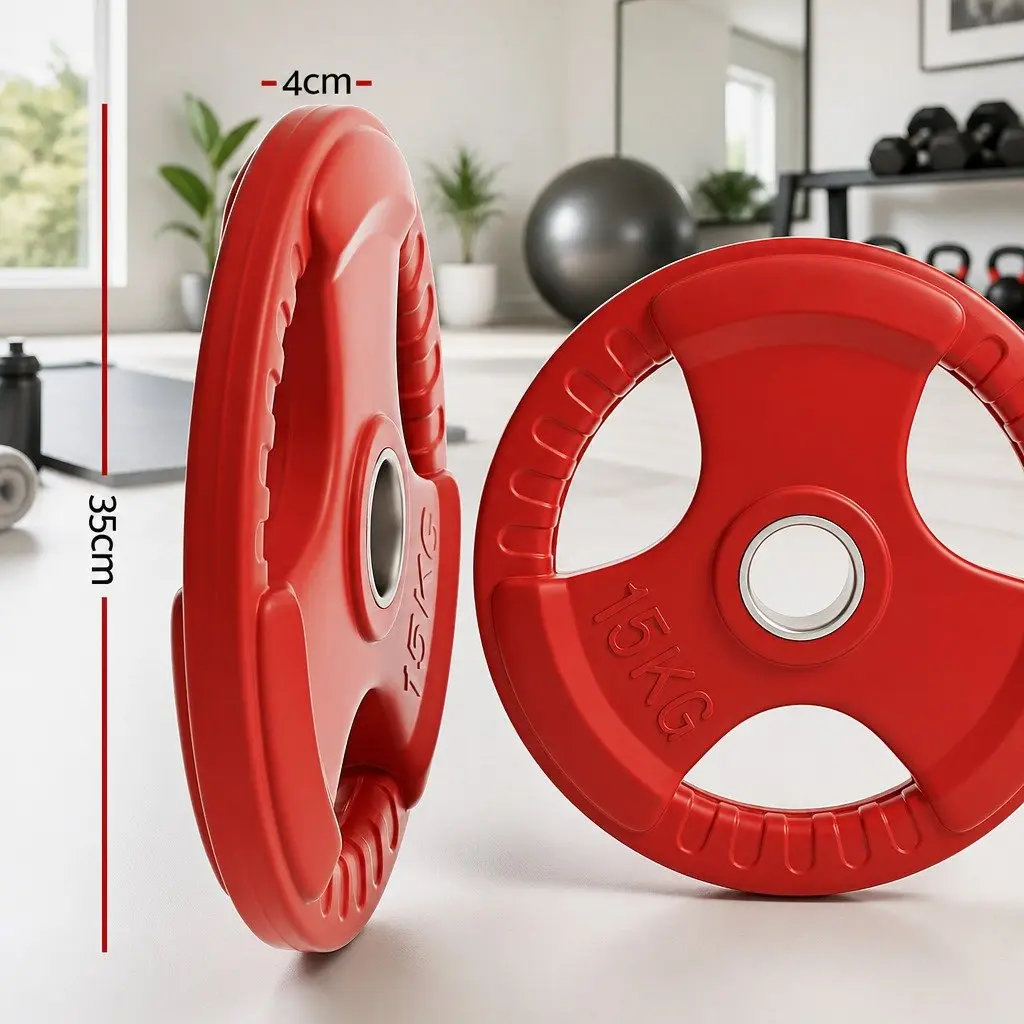 Weight Plates Olympic 15kg x2 Red Cast Iron Dumbbell Barbell Lifting Home Gym