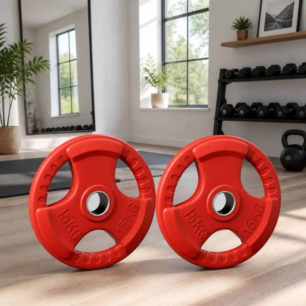Weight Plates Olympic 15kg x2 Red Cast Iron Dumbbell Barbell Lifting Home Gym