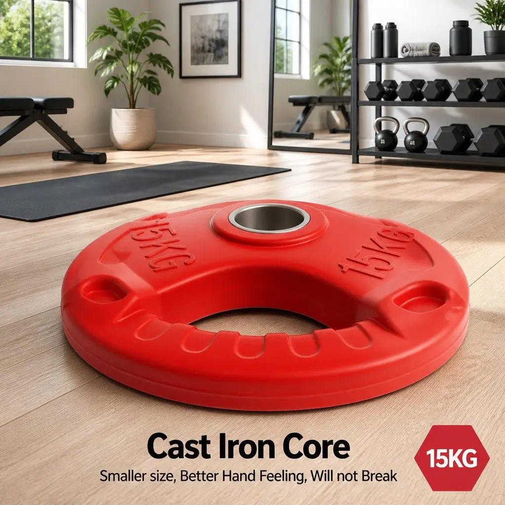 Weight Plates Olympic 15kg x2 Red Cast Iron Dumbbell Barbell Lifting Home Gym