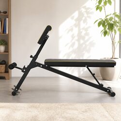 Roman Chair Adjustable Weight Bench Strength Training Equipment Preacher Curls