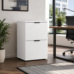Filing Cabinet 2 Drawer White Office Storage Organiser Suspension Files Document