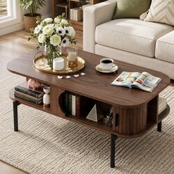 Friendly Walnut Coffee Table with Open Shelves