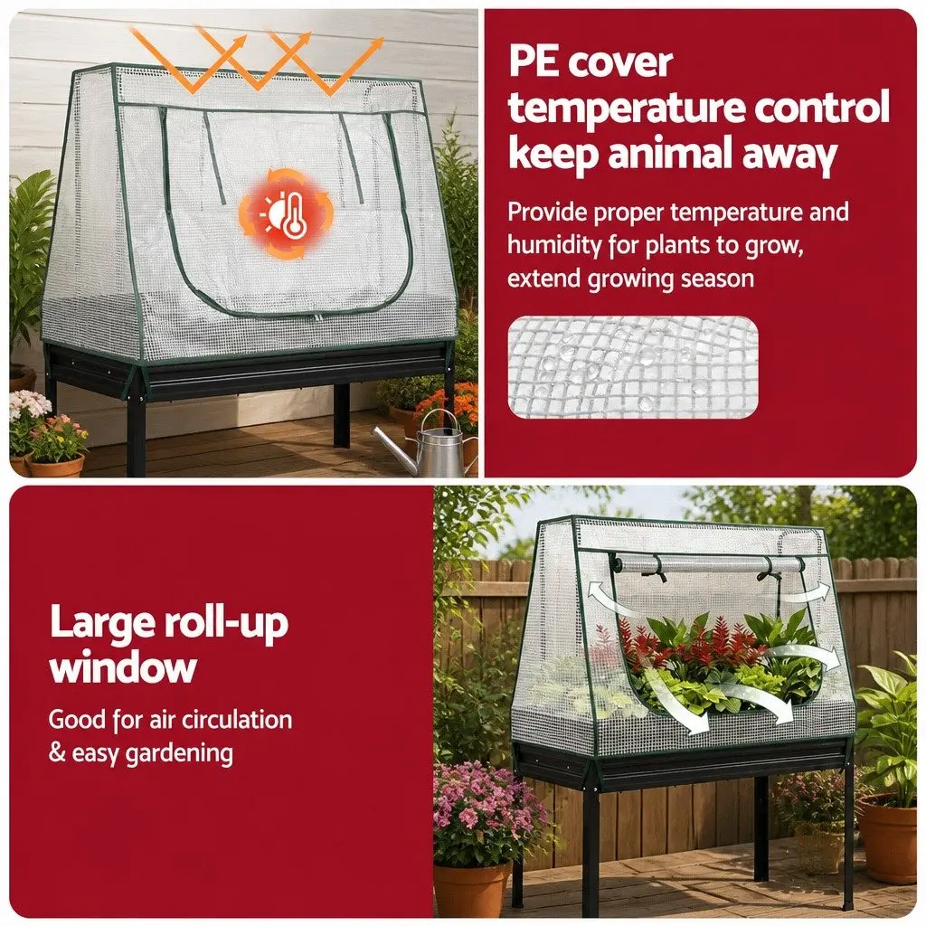 Elevated Garden Bed 116x60cm with Mini Greenhouse PE Cover and Ergonomic 80cm Height for Growing Vegetables Herbs and Flowers