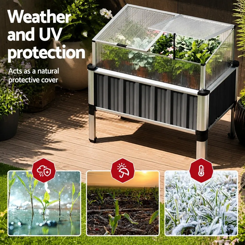 Raised Garden Bed with Translucent Polycarbonate Roof 80x49x74cm