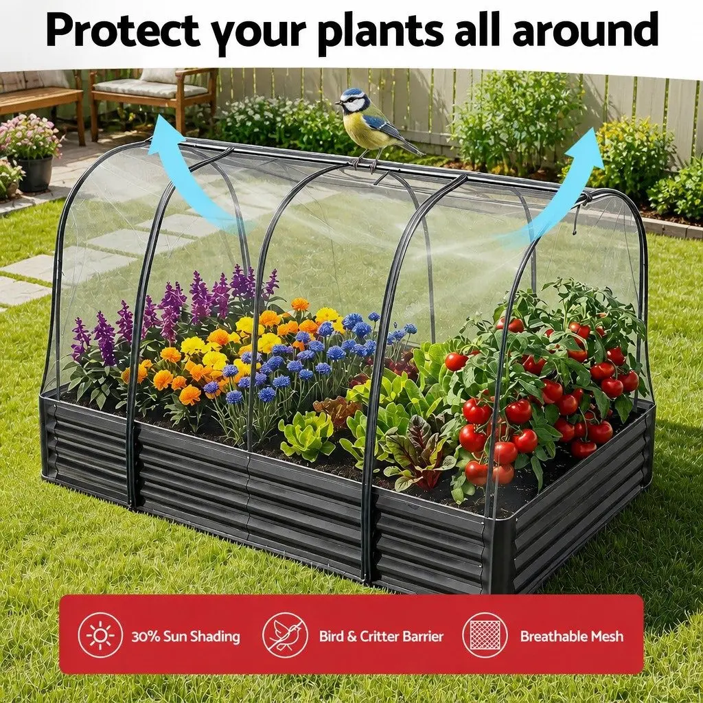 Raised Bed