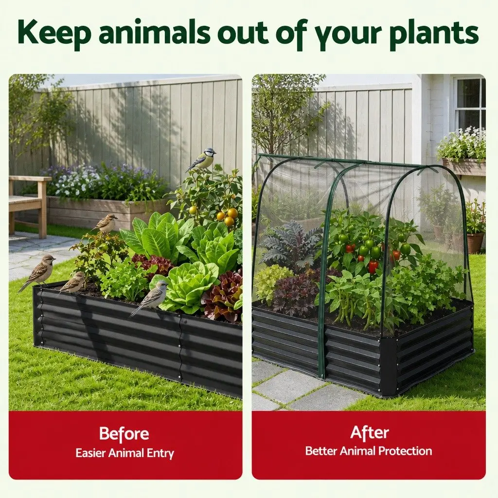 Raised Bed