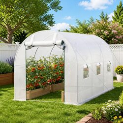 Friendly Walk-In Greenhouse Perfect for Plant Lovers
