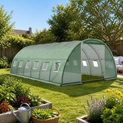 Your Perfect 6x4x2M Greenhouse for Growing Plants